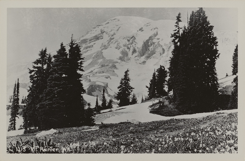 Mount Rainier, Washington. 1213. Northwest Historical Postcards
