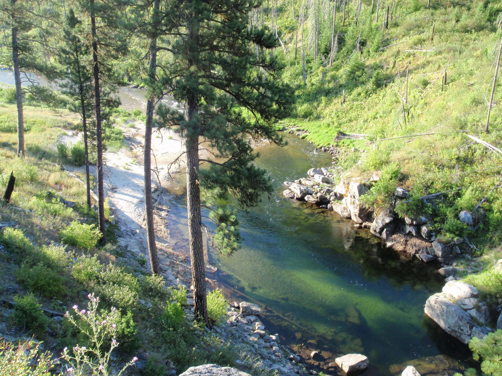 Salmon Hole Bear Creek Photograph 2 The SelwayBitterroot