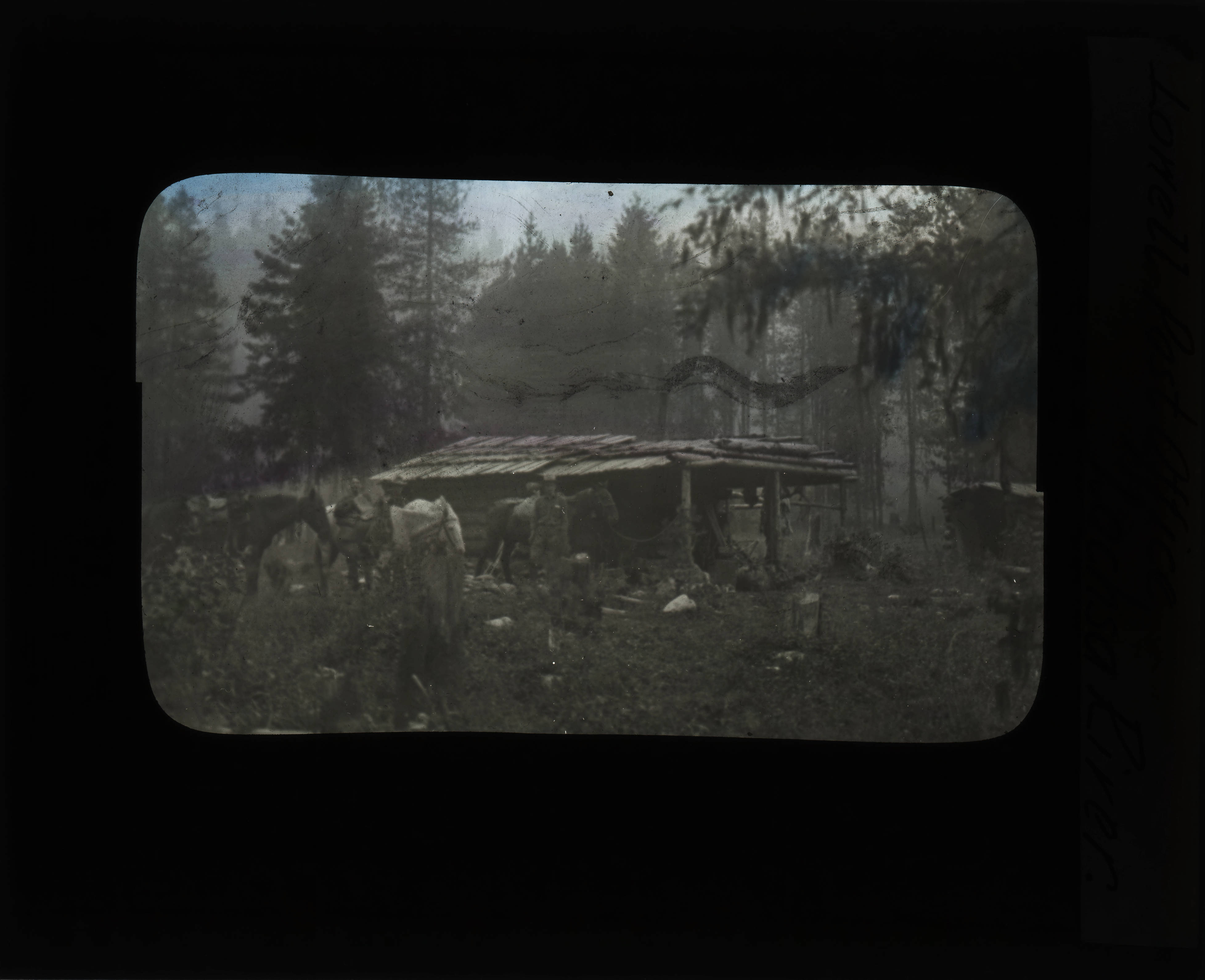 Lowell Post Office C.H. Shattuck Lantern Slides, 19041910