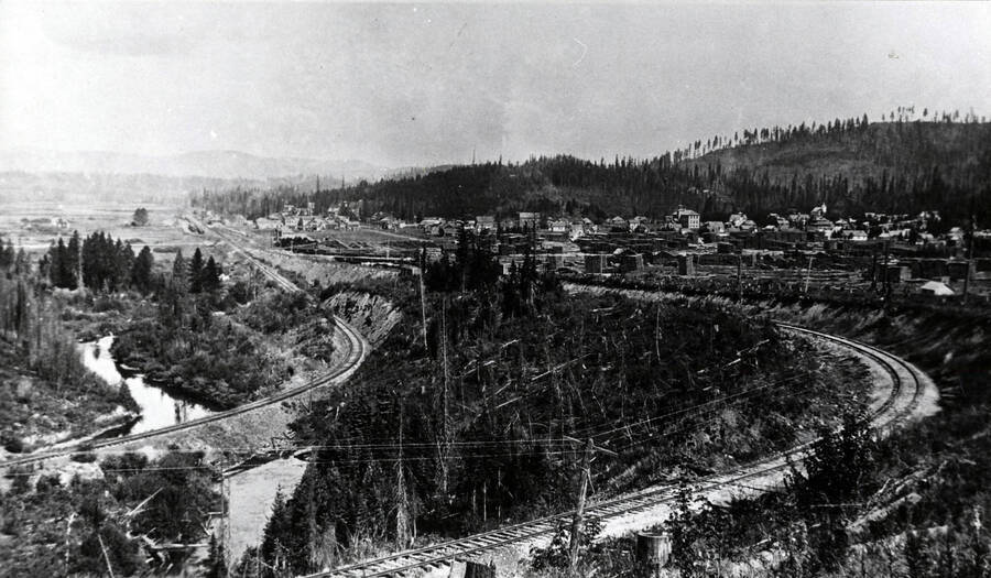 Bovill, Idaho The Trees Grew Tall Photograph Collection