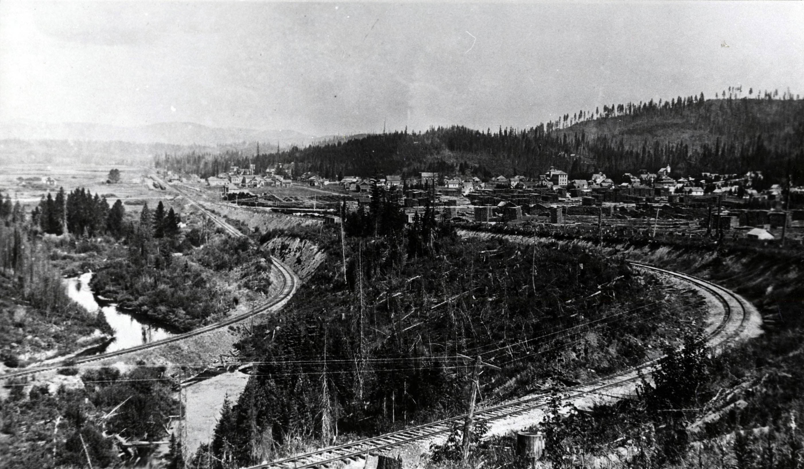 Bovill, Idaho The Trees Grew Tall Photograph Collection