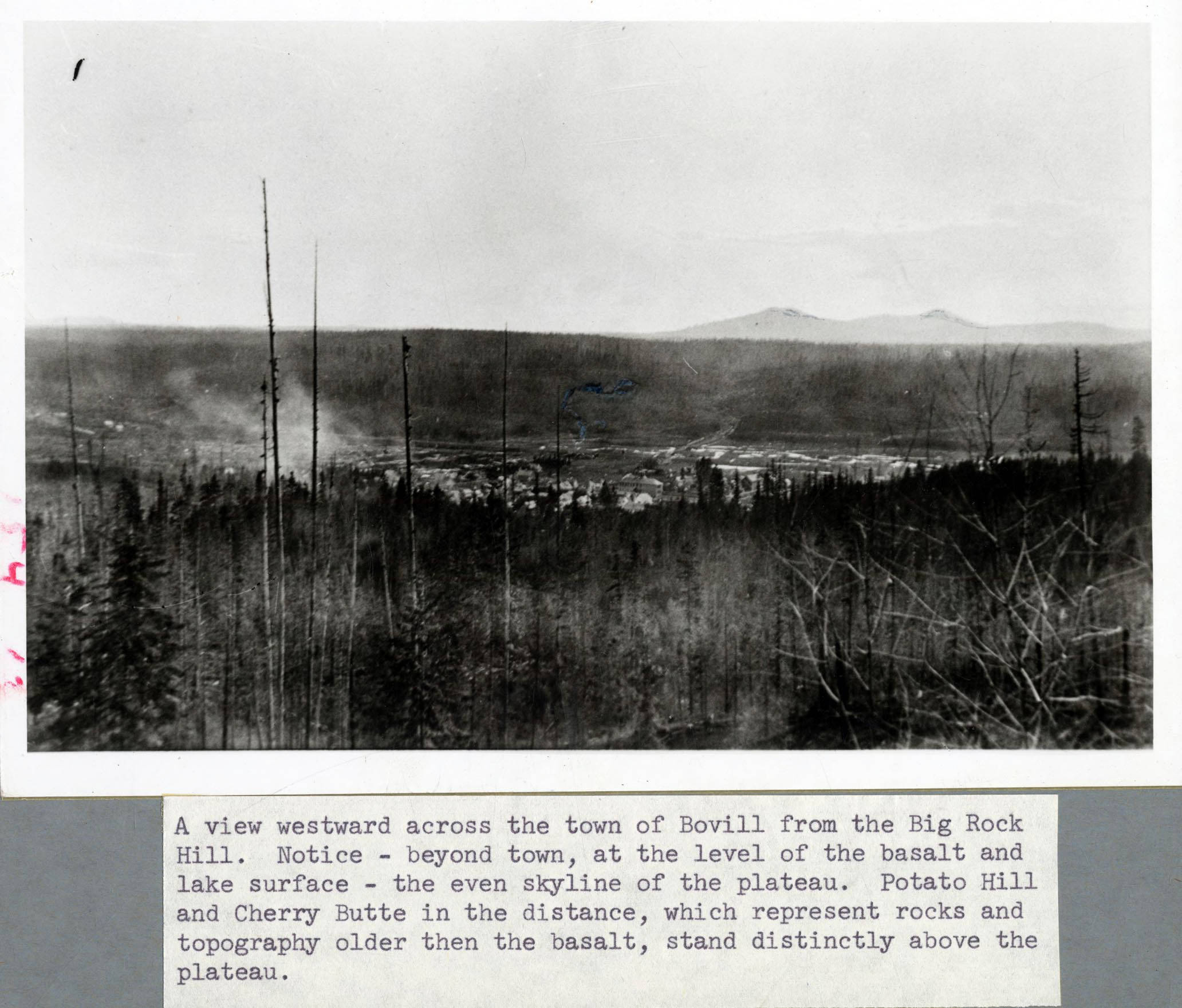 Looking west across the town of Bovill, Idaho The Trees Grew Tall