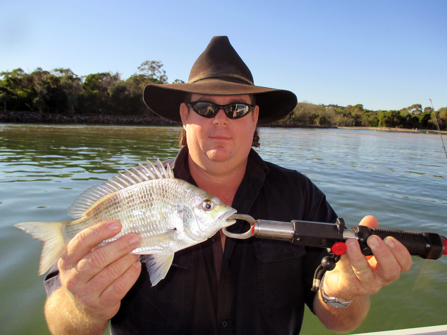 Noosa River Weekly Fishing Report O Boat Hire