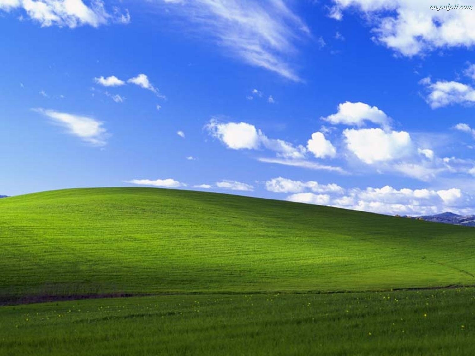 Przeróbki łąki z windowsa elektroda.pl