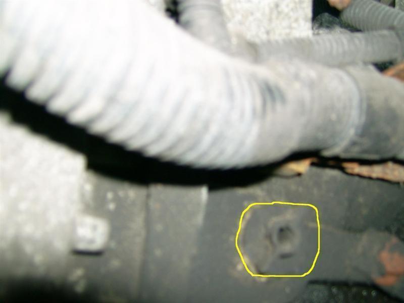 Cameron Auto's Renault Laguna Gearbox Oil