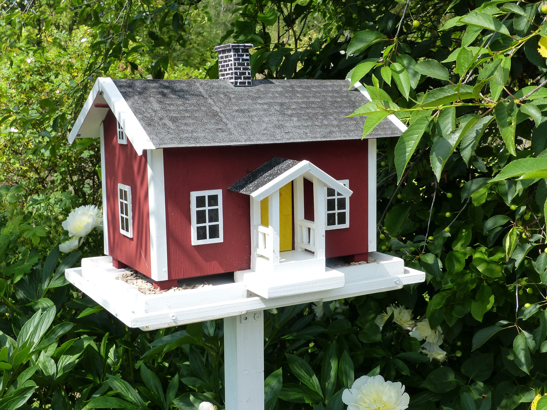 ⇒ Top 7 Vogelhaus im Vergleich Januar 2020