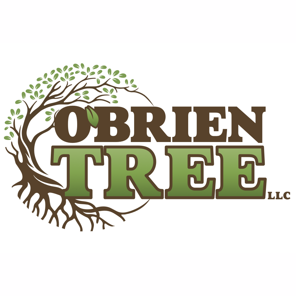 O'Brien Tree Services Expert Tree Service in Dubuque, IA