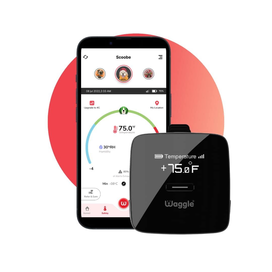 Best RV Pet Temperature Monitors
