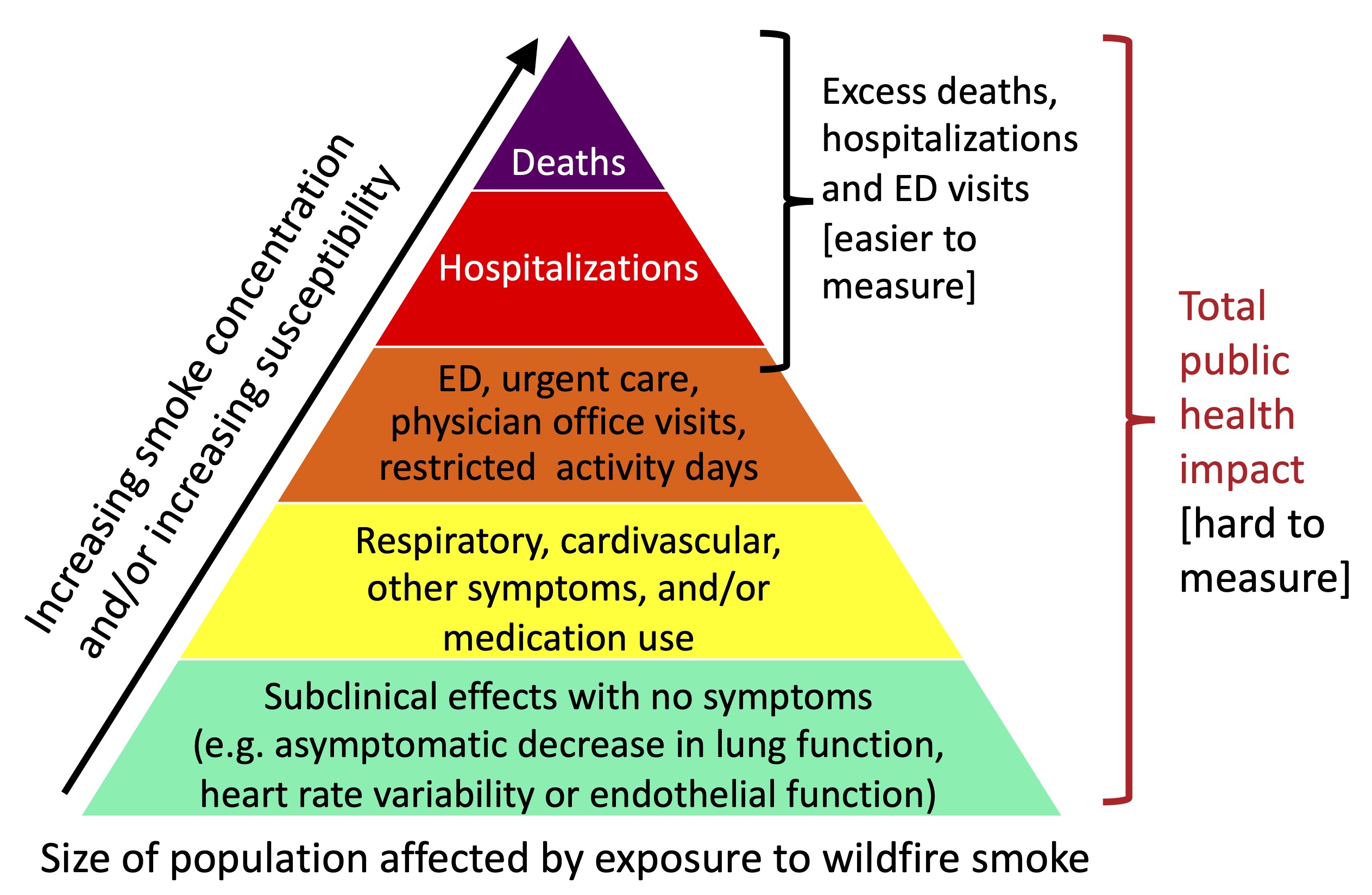 The impact of forest fires on human health Observatoire de la