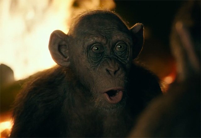 dos Macacos A Guerra Divulgada cena com 3 minutos de duração