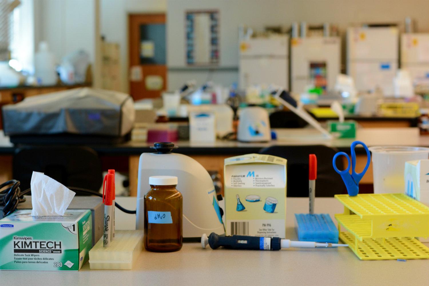 Monica Chavan Are lab courses irksome imperatives or indispensable in