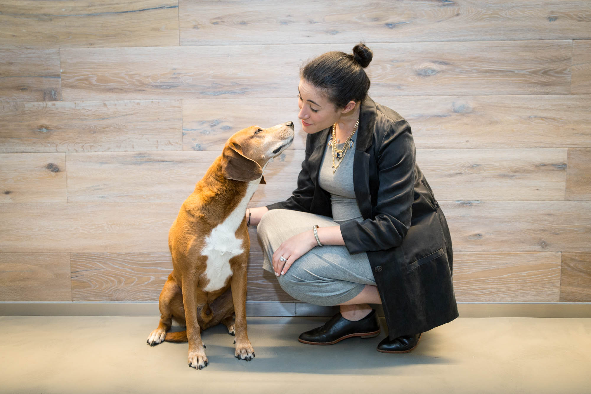 There’s Now a Completely Custom Meal Delivery Service For Dogs Observer