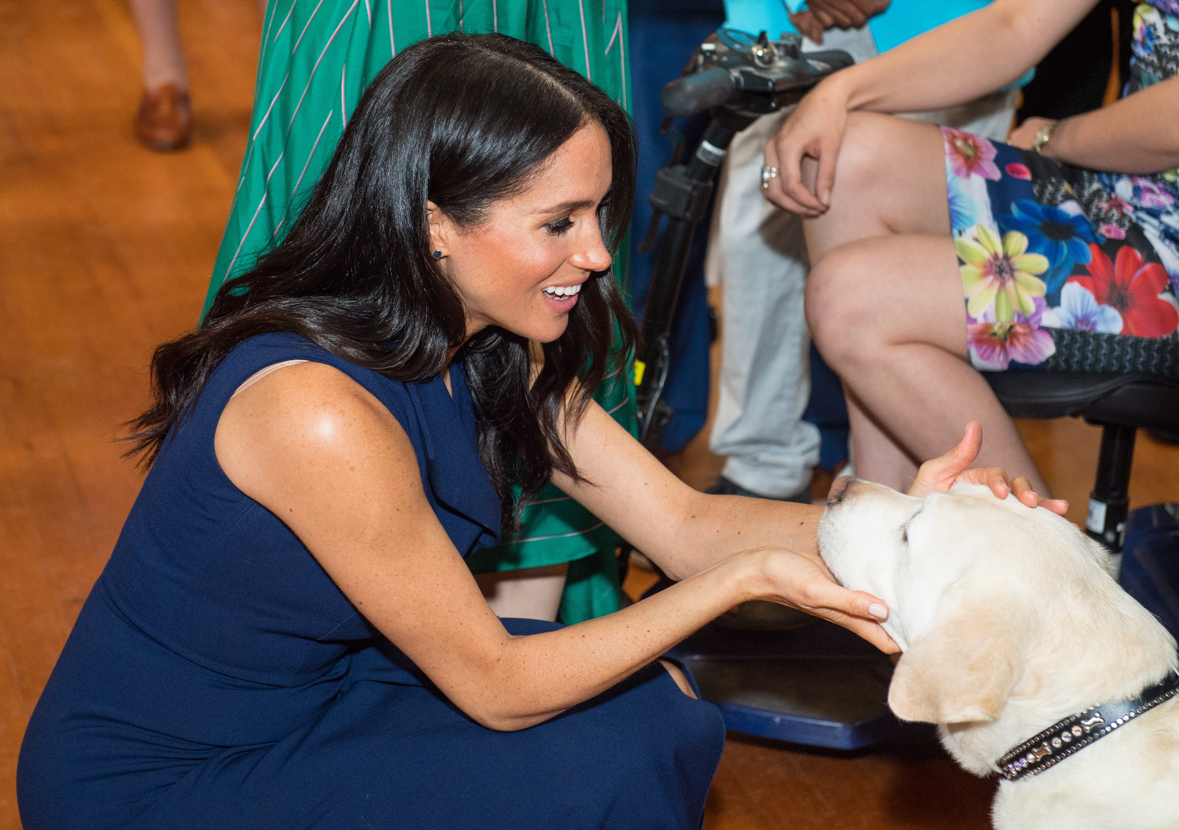 Meghan Markle Has Been Leaning on Her Rescue Dogs for Support Observer