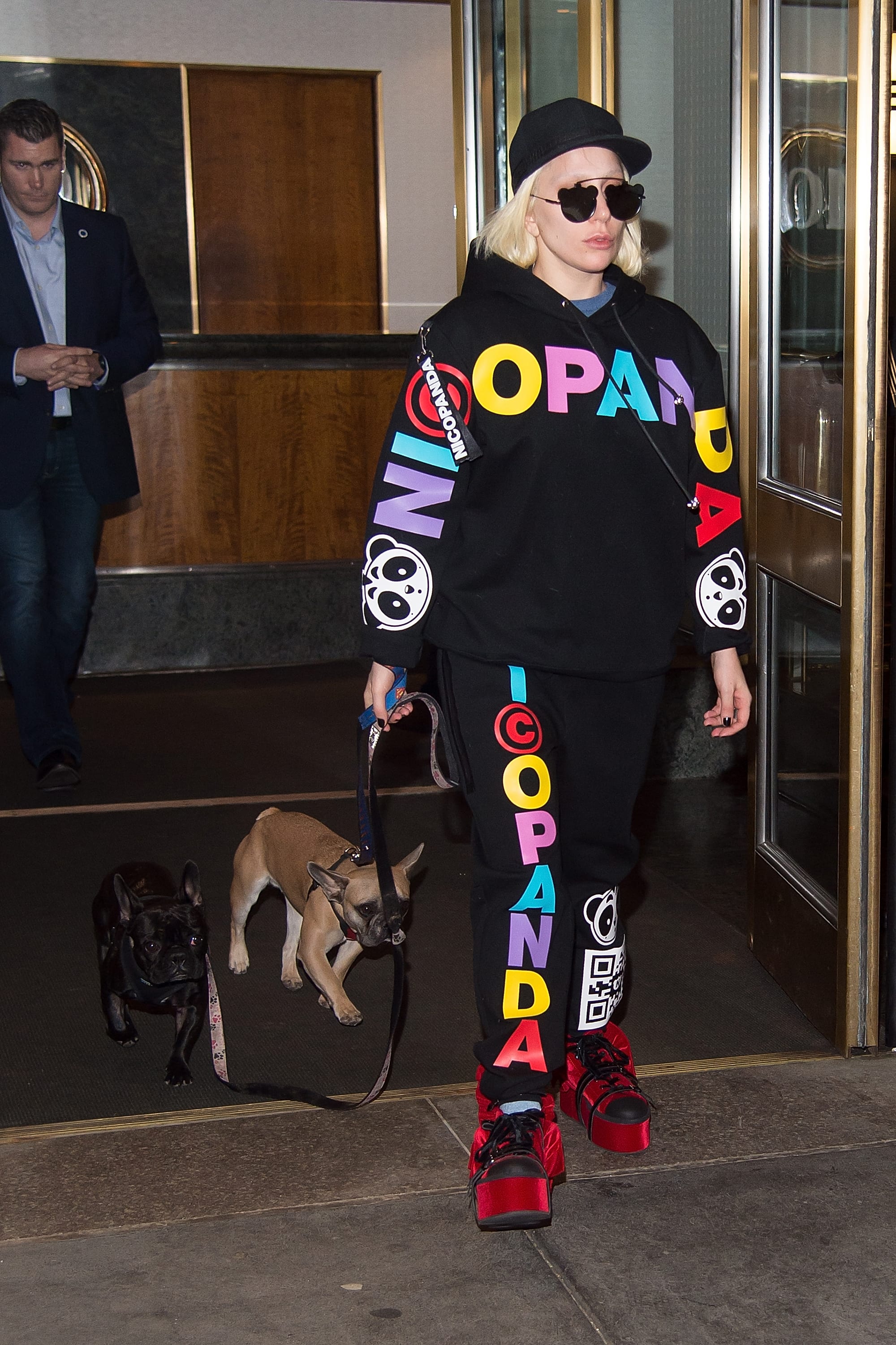 Lady Gaga’s Dog Walker Shot, Dogs Stolen What We Know Observer