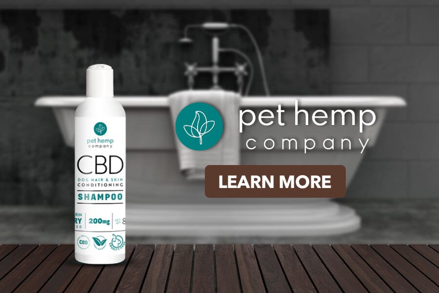 Best Dog Shampoo The Ultimate Guide News Wire Evolution