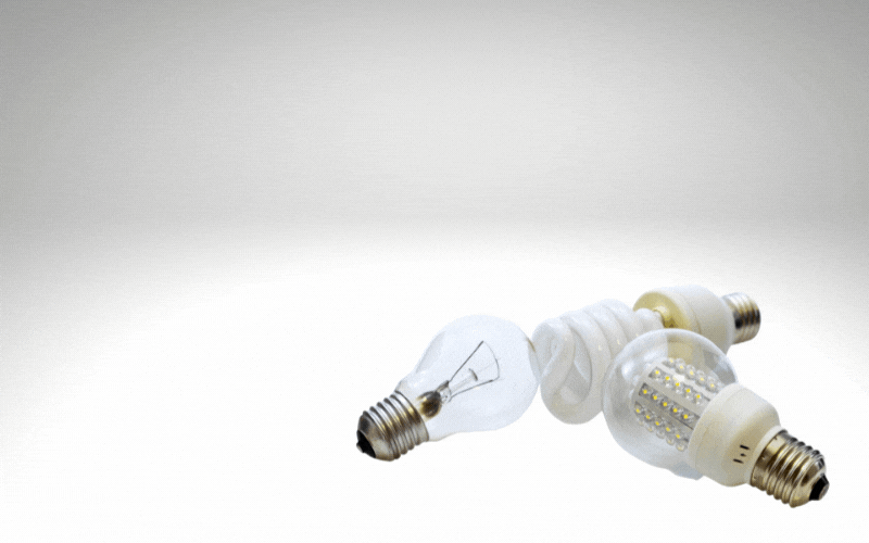 Difference Between Appliance Bulb and Regular Which One to Use