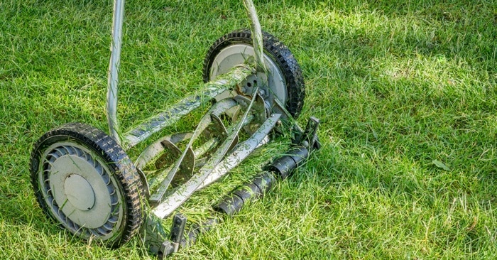 5 Best Reel Mowers [2025 Reviews & Buyers Guide]