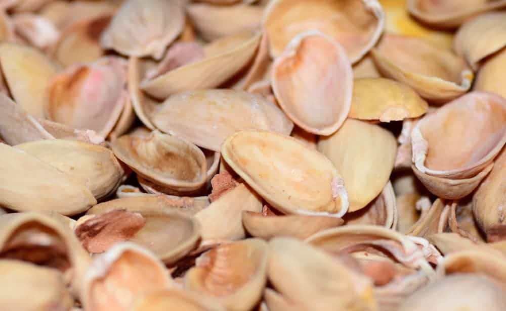 Are Pistachio Shells Good For The Garden? Obsessed Lawn
