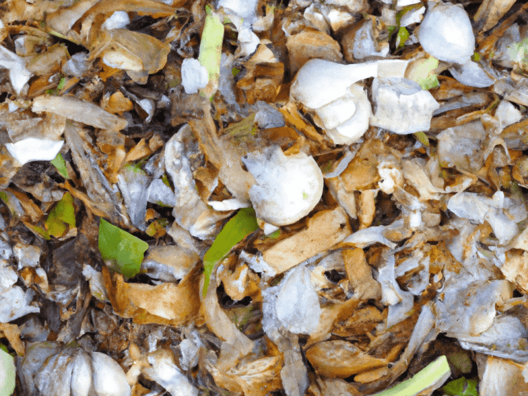 Can You Compost Garlic Skin? Obsessed Lawn