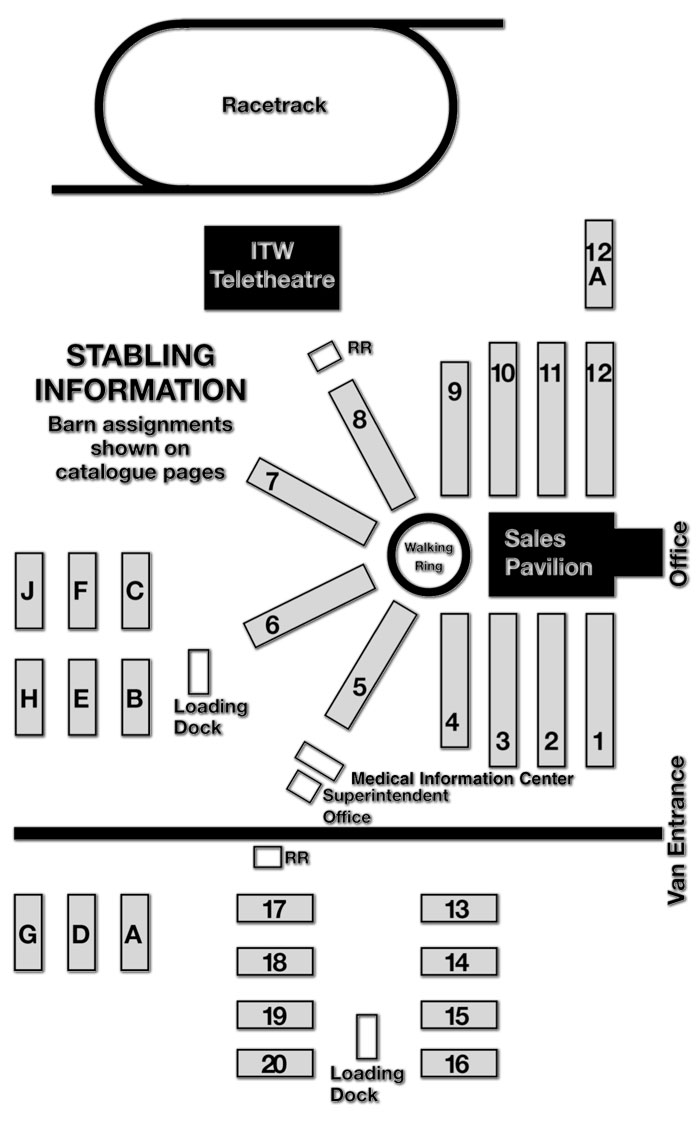 Printable Barn Rules