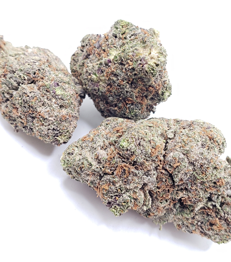 Oreoz Strain Exotic Hybrid OC 420 Collection