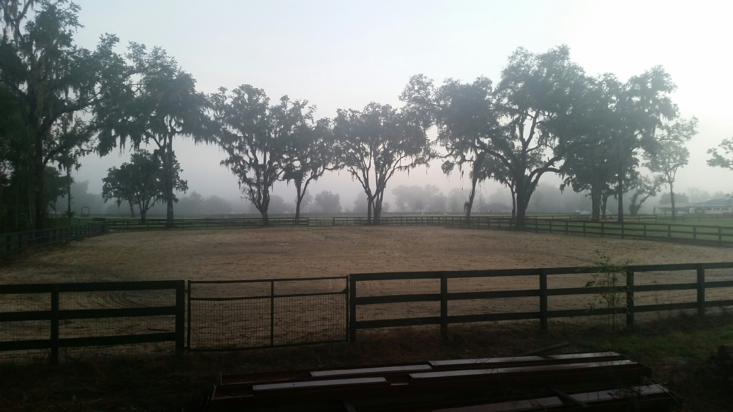 premier horse boarding facility located in the heart of Northwest Ocala