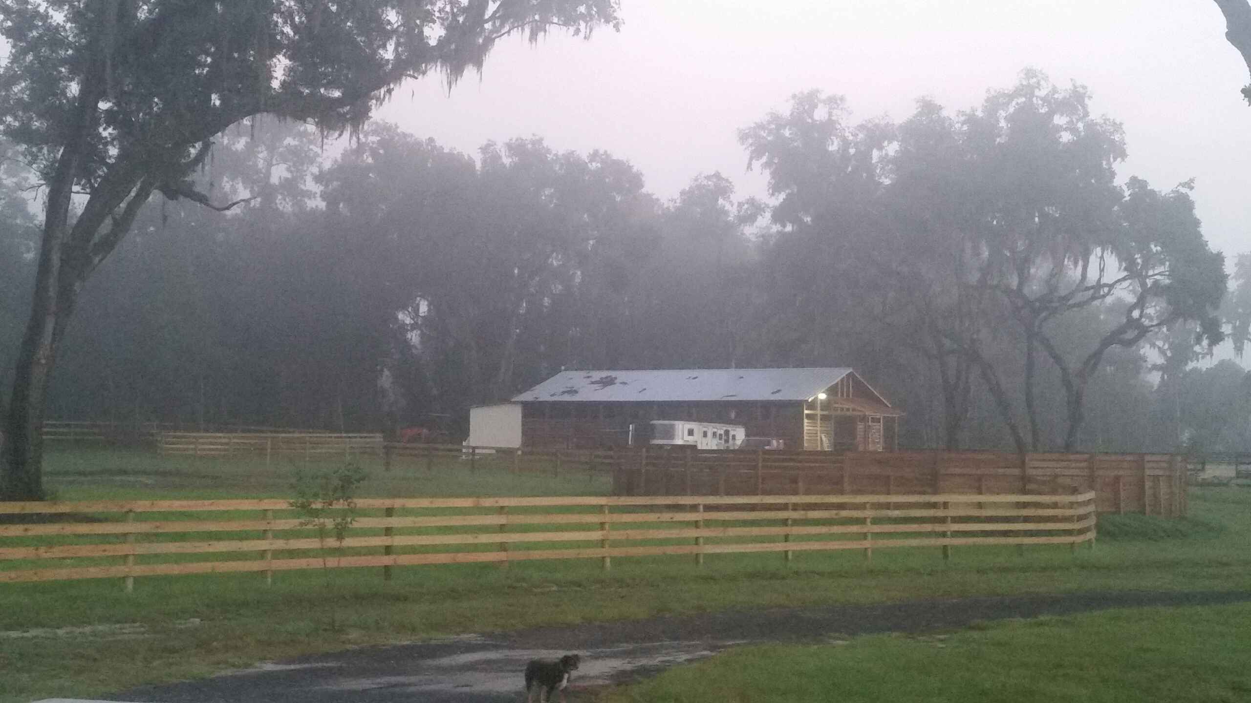 premier horse boarding facility located in the heart of Northwest Ocala