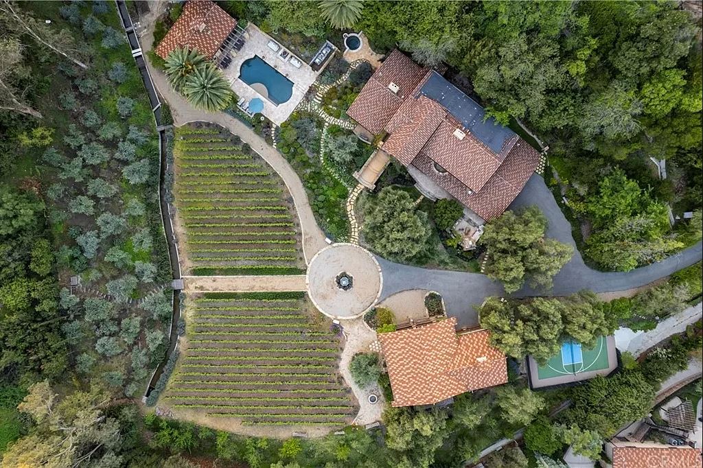 Cowan Heights Estate, Wine Business Seeks 8M Orange County Business Journal