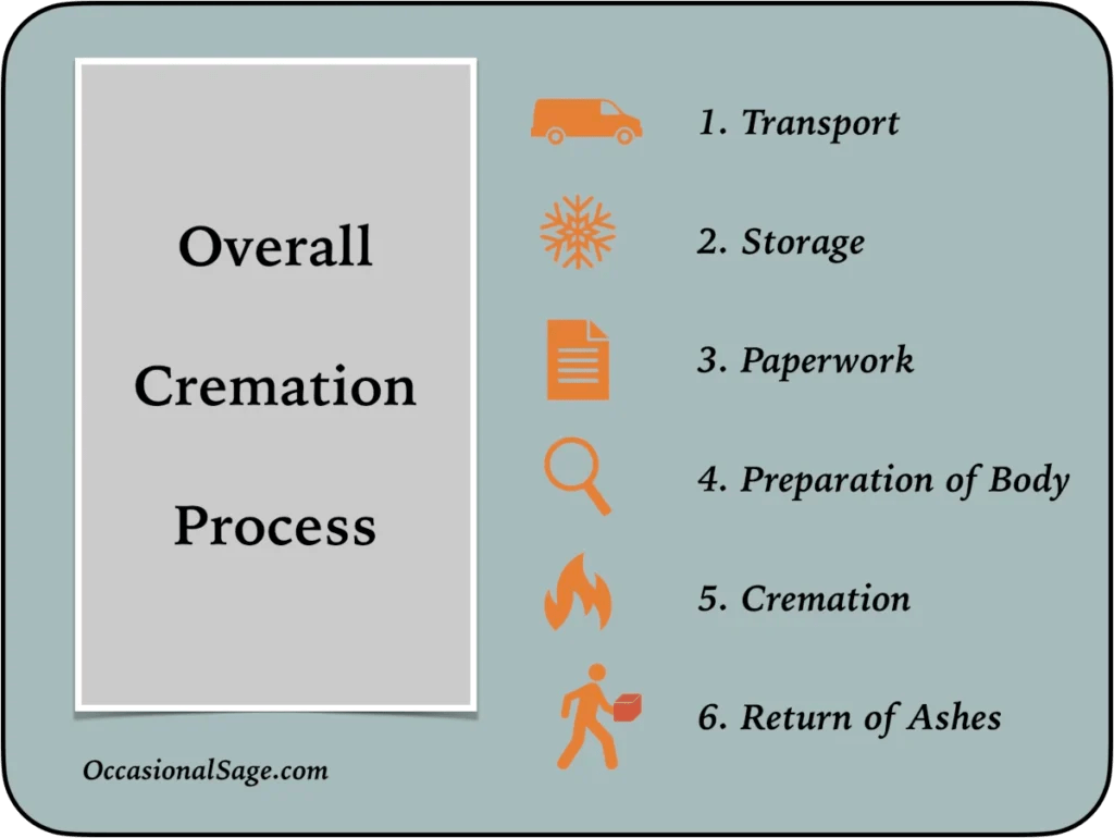 Cremation Process How Does it Work? Occasional Sage