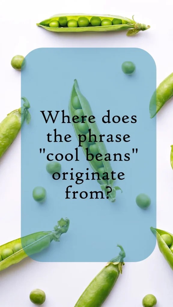 10 Phrases Similar to Cool Beans Occasion Talk