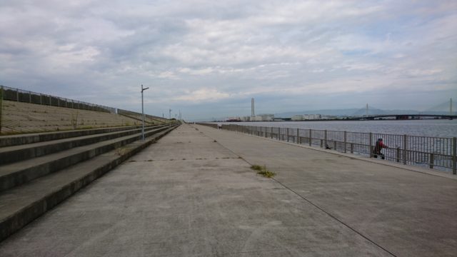 「堺浜海釣りテラス」に行ってきた日記 オカルテック