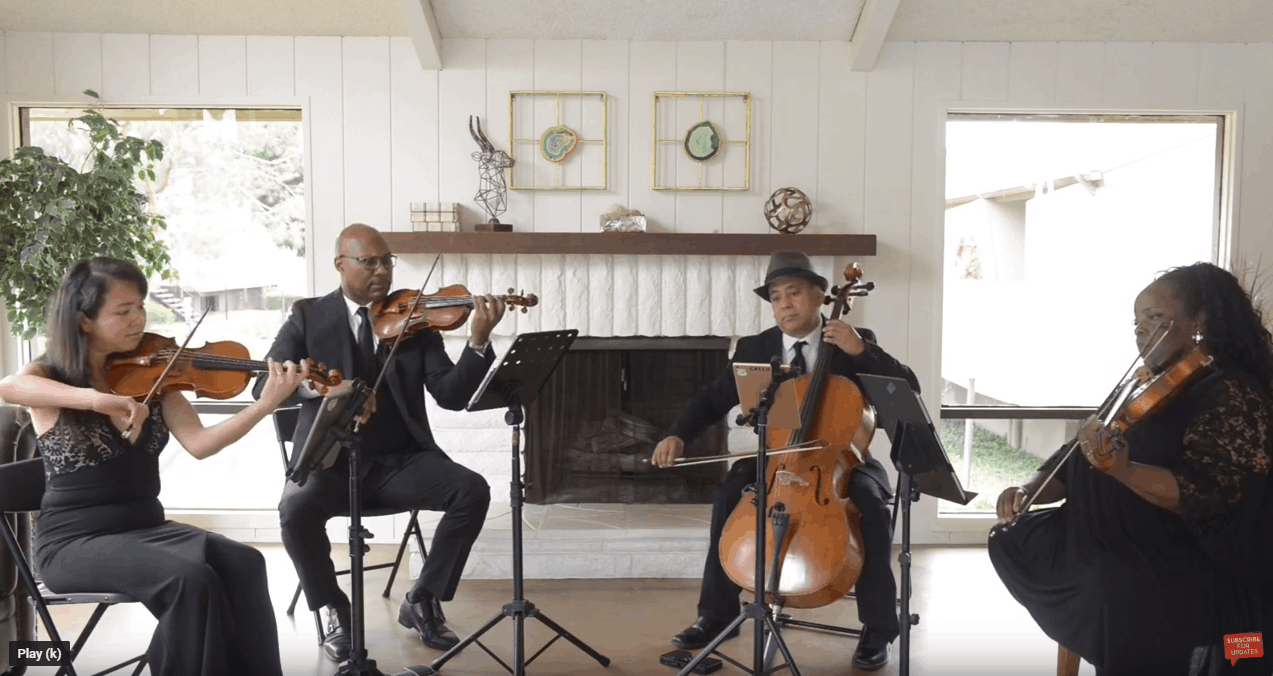 The Vitamin String Quartet Wedding Songs String Duo City