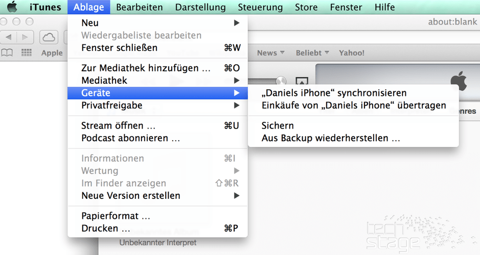 JailbreakProbleme lösen Fehler, Neustart, Cydia TechStage