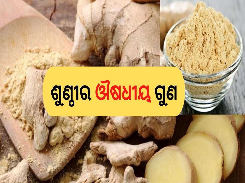 ରକ୍ତଚାପ ନିୟନ୍ତ୍ରଣ କରେ ଶୁଣ୍ଠୀ sunthi dry ginger ayurvedic medicine