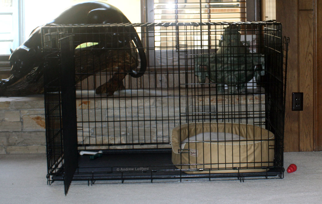 Dog Training Crates for Housebreaking, Potty Training, and Behavior