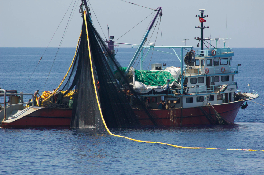 High risks of fraudulent Bluefin tuna fishing in North Africa and the