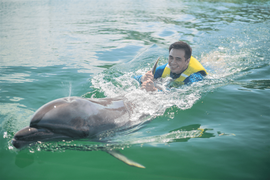 Swim with Dolphins Ocean Adventure, Subic Bay
