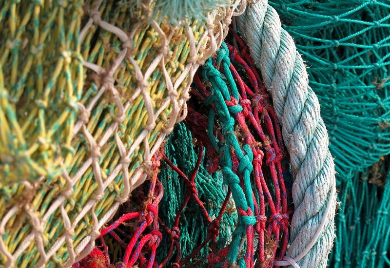 Projects Fundação Ocean Azores Ocean Azores Foundation