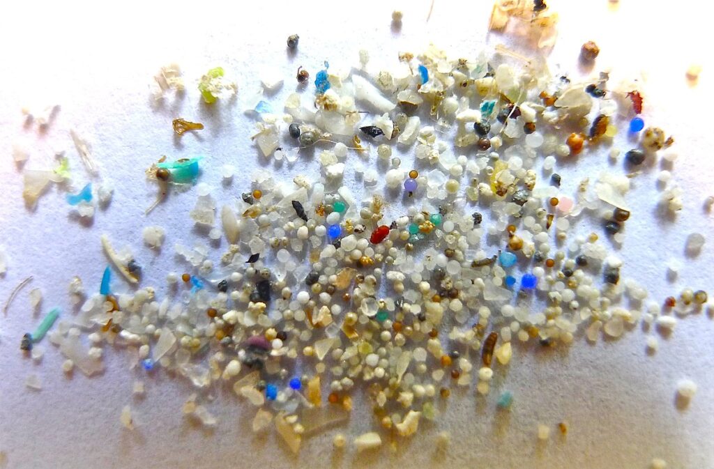 Incidental Ingestion Do fishes intentionally swallow microplastics
