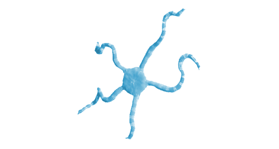 Wildlife Fact Sheets Brittle Star Ocean Conservancy