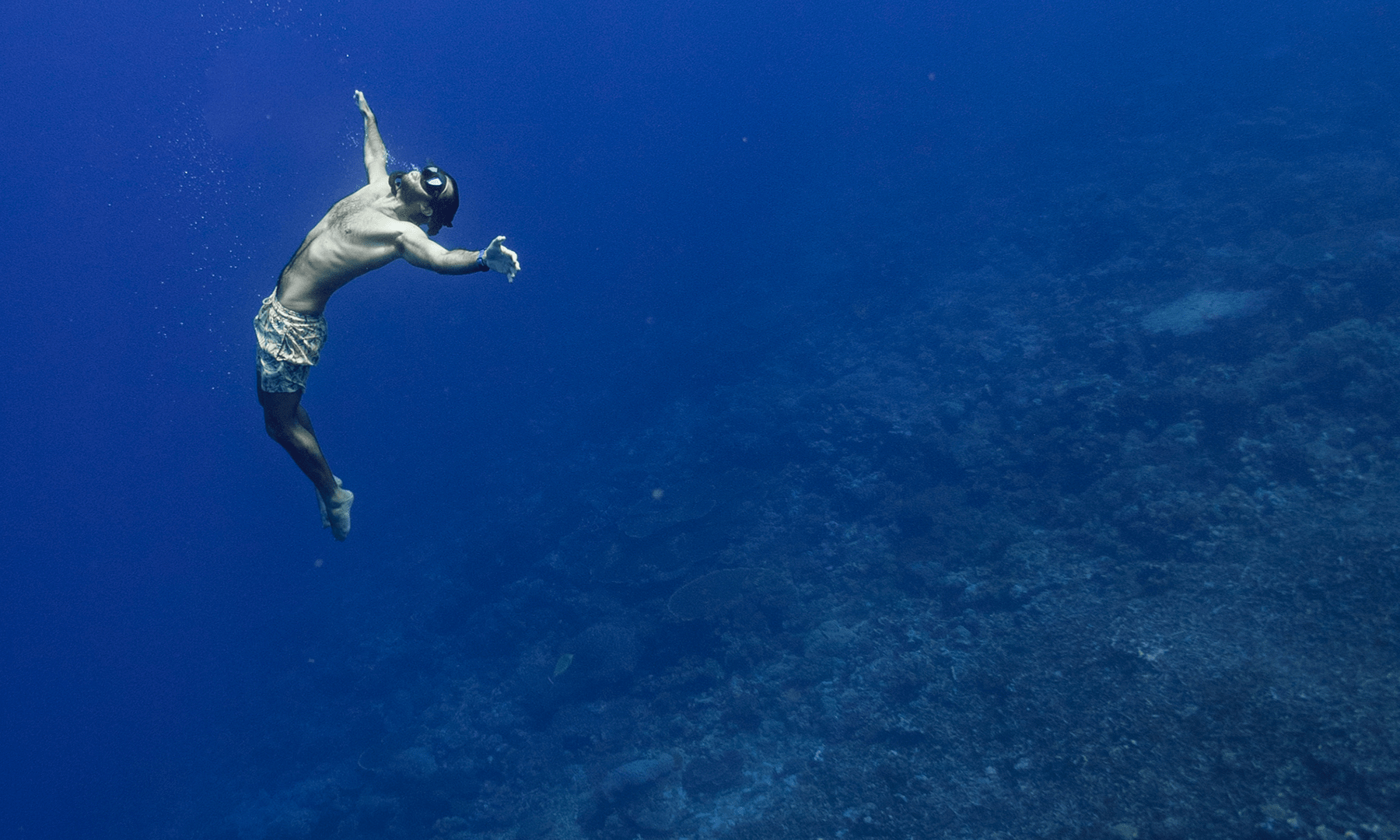 Reconnecting through Free Diving Ocean Conservancy