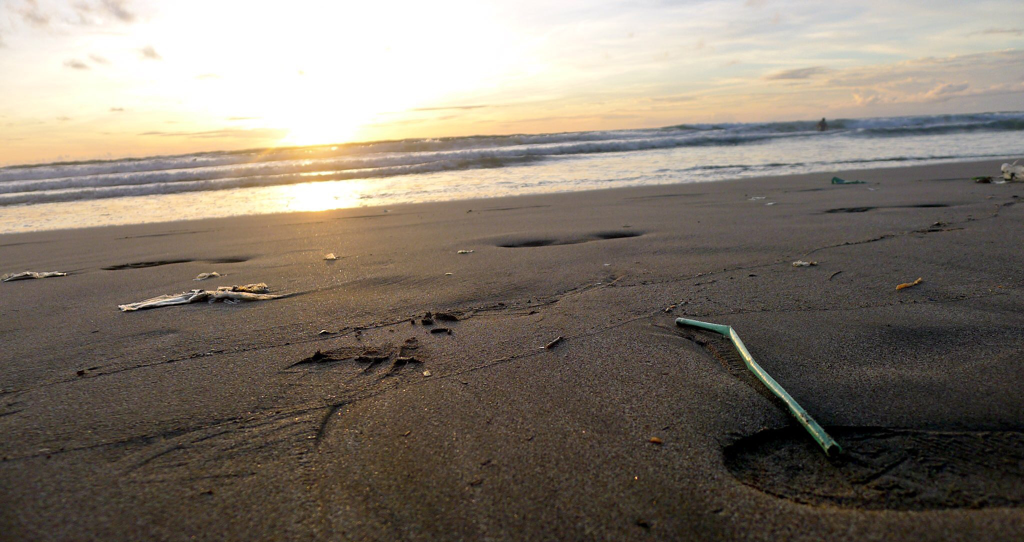 Washington D.C. Bans the Plastic Straw Ocean Conservancy