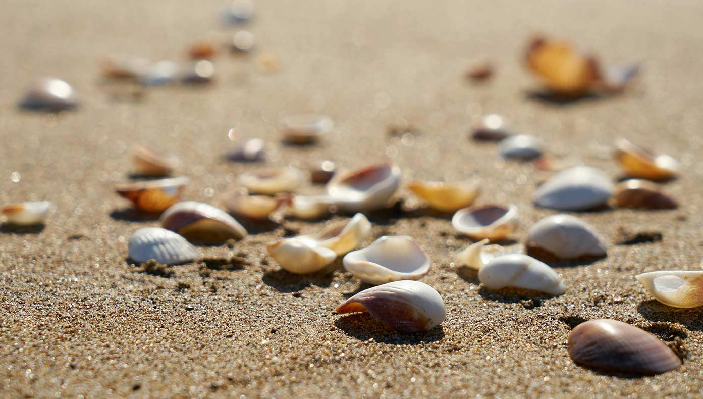 Is it illegal to collect sea glass uk? OceanFinds