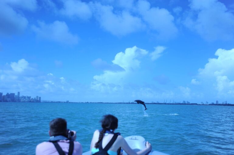 Gallery Miami Boat Tours