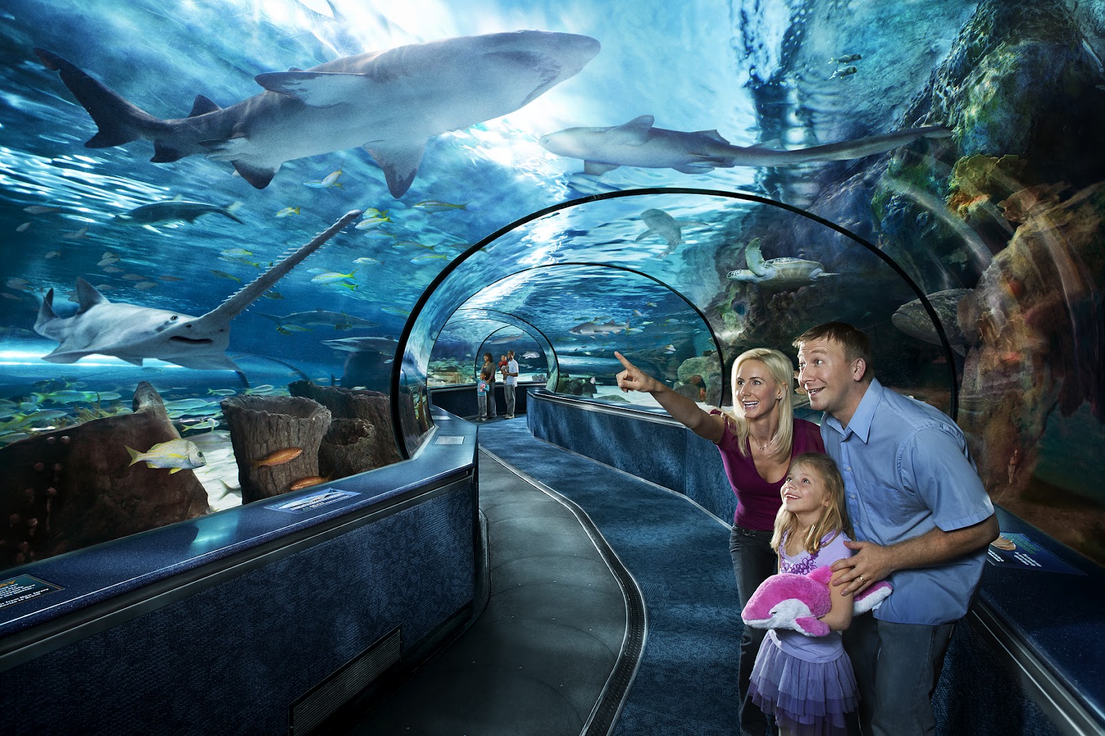 The Ultimate Ocean Isle Beach Vacation Activity GuideOcean Isle Beach