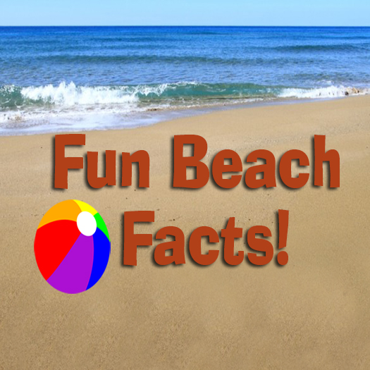 Fun Facts about Beaches! Ocean Isle Beach North Carolina