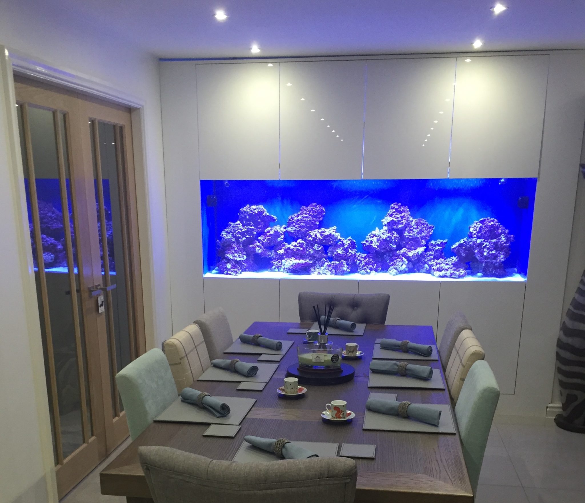 Custom In Wall Fish Tank Installed in Glossop Oceanlife Aquatics