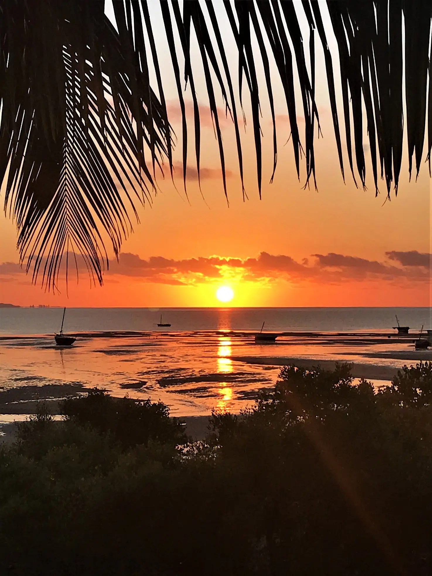 Cruises & Island Trips Ocean Pearl Beach Lodge