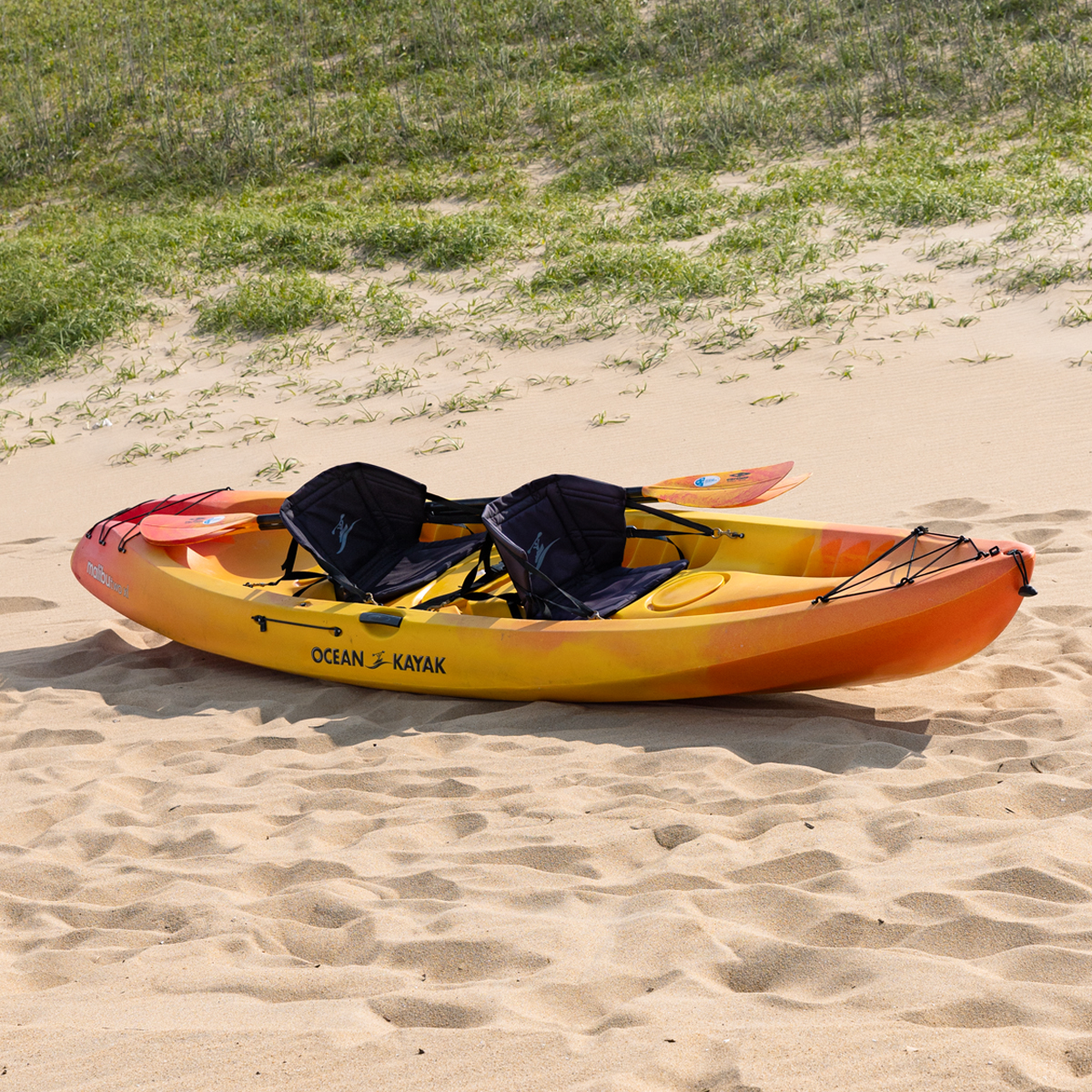 Back Bay Kayak Tour Ocean Rentals Ltd Sandbridge VA