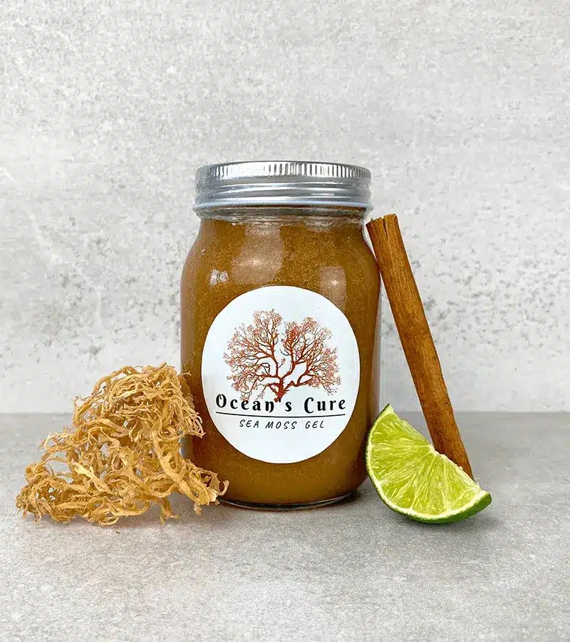 Vanilla + Cinnamon Sea Moss Gel Oceans Cure